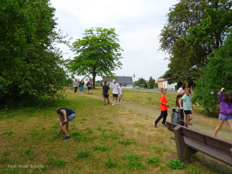Senftenberg Spielplatz Streifzug1